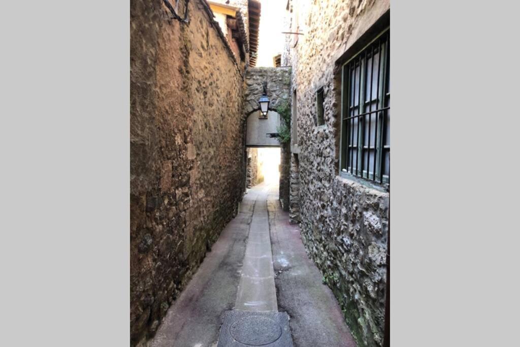 Les Maisons Du Conflent, Maisons Familiales En Pierre Au Coeur Des Remparts ヴィルフランシュ・ド・コンフラン エクステリア 写真