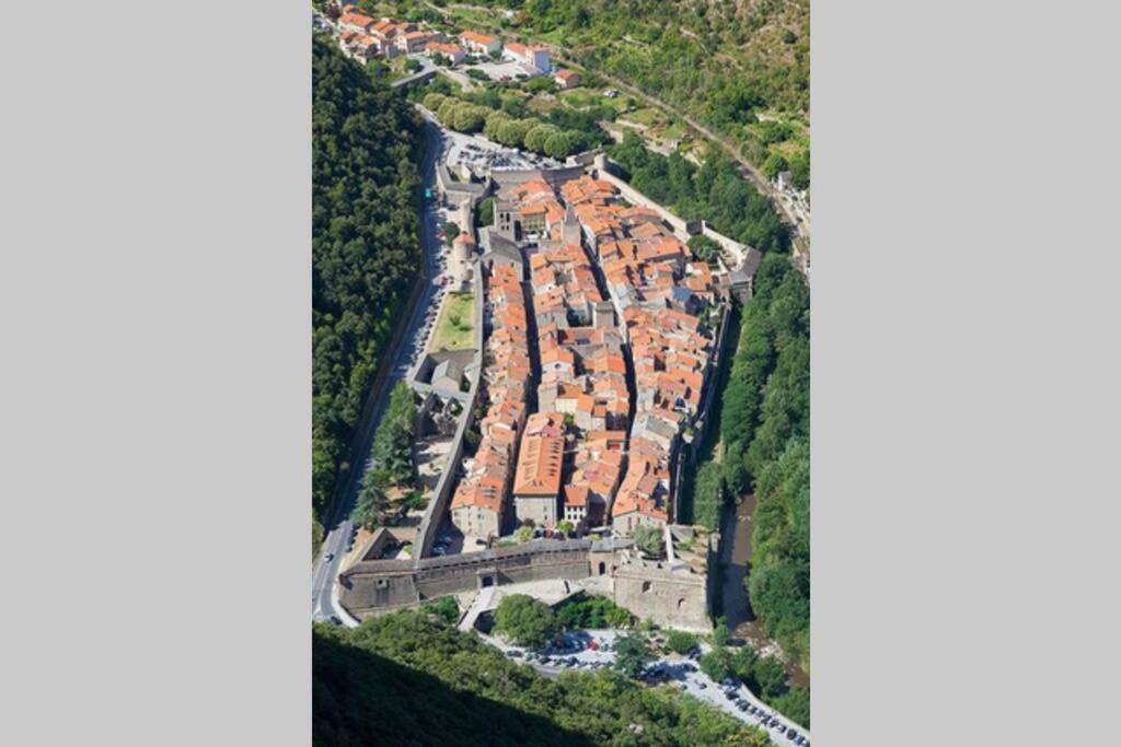 Les Maisons Du Conflent, Maisons Familiales En Pierre Au Coeur Des Remparts ヴィルフランシュ・ド・コンフラン エクステリア 写真
