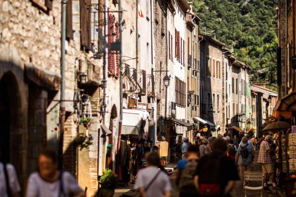 Les Maisons Du Conflent, Maisons Familiales En Pierre Au Coeur Des Remparts ヴィルフランシュ・ド・コンフラン エクステリア 写真